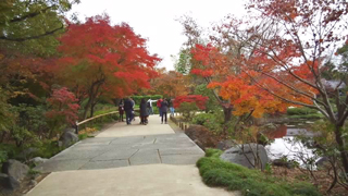 昭和記念公園 日本庭園
