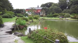 小石川植物園 日本庭園
