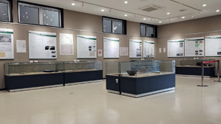 ��¢¼����Ω���̱¯������ �̴�Ÿ����