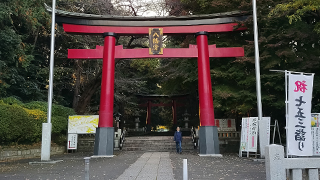 ���ȬȨ�� ���Ļ��