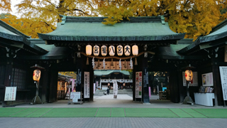 ���ȬȨ�� ����