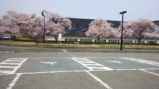 福島県立博物館 駐車場