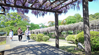玉敷神社 神苑