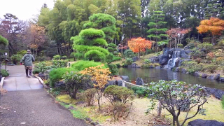 所沢航空記念公園 日本庭園