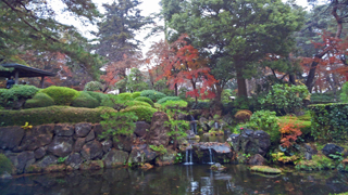 大宮公園 日本庭園