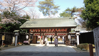 櫻木神社 神門