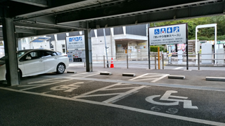 �������������־�