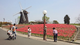 花博記念公園鶴見緑地 風車の丘