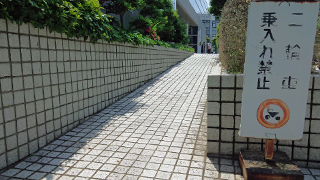 ������ۡ��� ��������