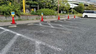 ���͸���P1