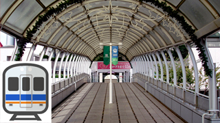 ���͸���ץ���ʡ���