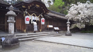 平野神社 本殿