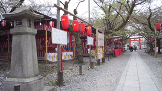 平野神社 桜茶屋