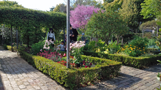 宝塚市立文化芸術センター メインガーデン