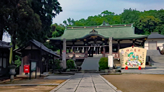 �������� ����