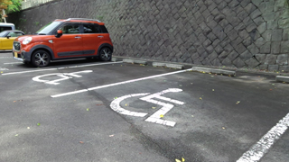 �������� ��־�