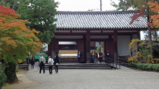 �⾷��� ������