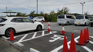 ���ɶ�����־�