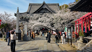 ������� ����