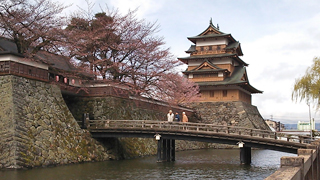 高島城 桜