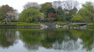 栃木県中央公園 大池