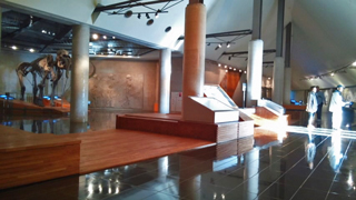 岩宿博物館 展示室