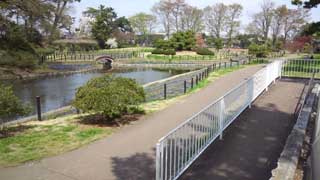華蔵寺公園 水生植物園