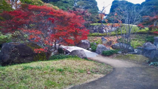 前橋公園 日本庭園