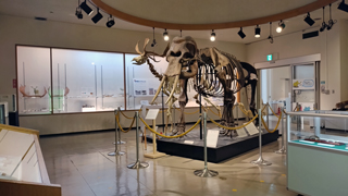 �������д� Ÿ����