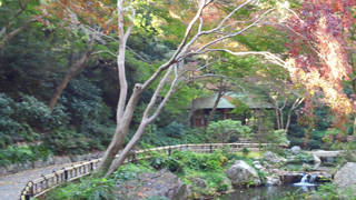 浜松城 日本庭園