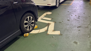 �����ѥե��꡼ ��ξ����