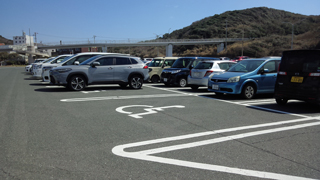 ���ɸй���־�