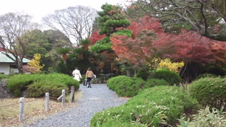 名古屋城 二の丸庭園