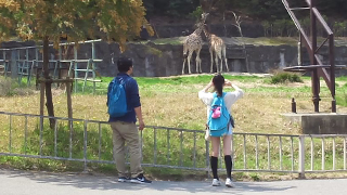 東山動植物園 キリン